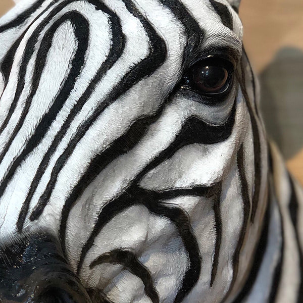 Wall mounted Zebra Head Blacks of Sopwell Online Store