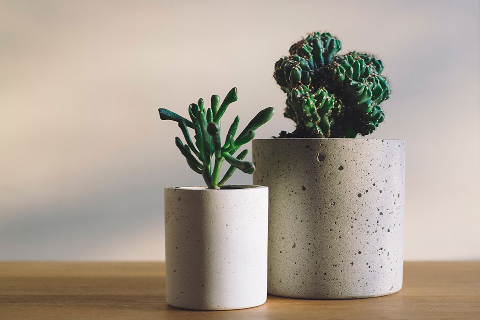 Using Concrete Accents