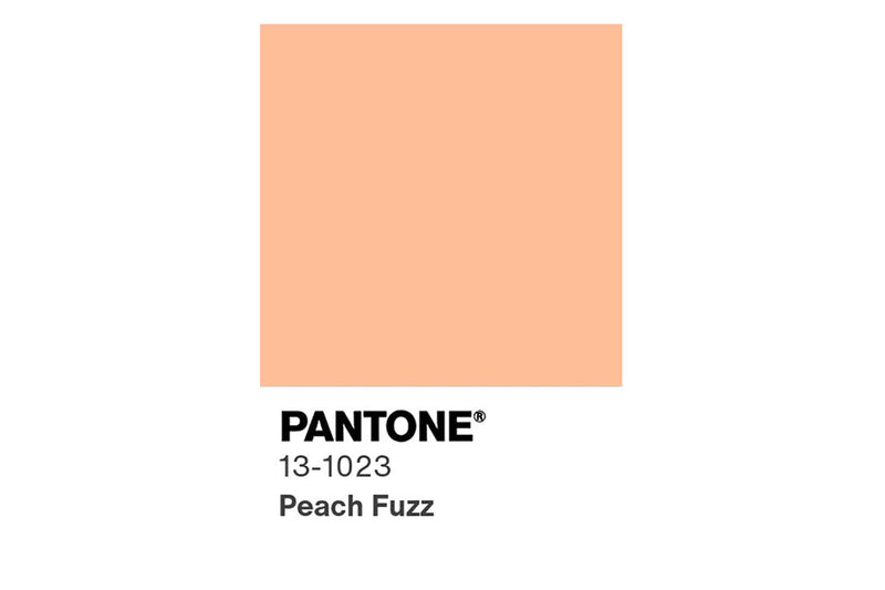 2024 Colour palettes