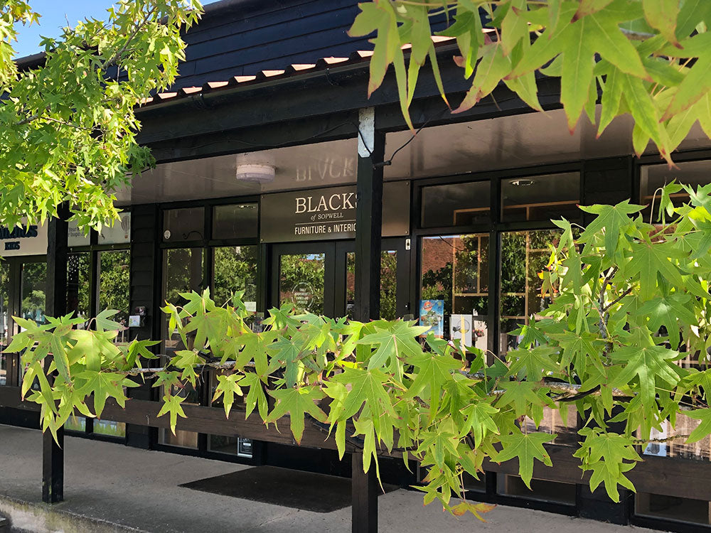 10 years of Blacks at the Farm Village