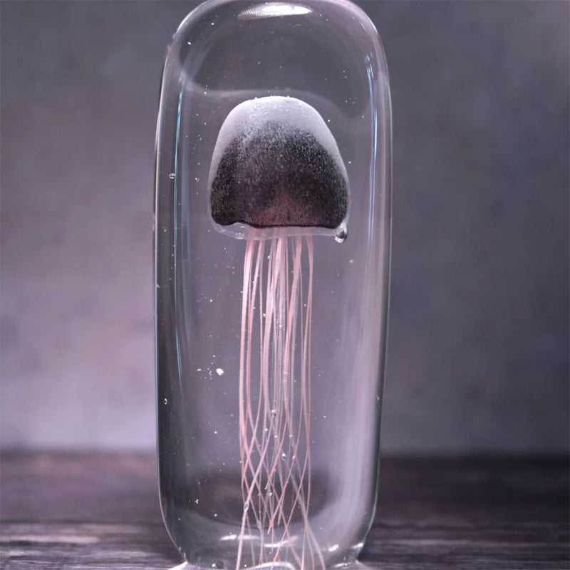 Jellyfish Vertical Paperweight