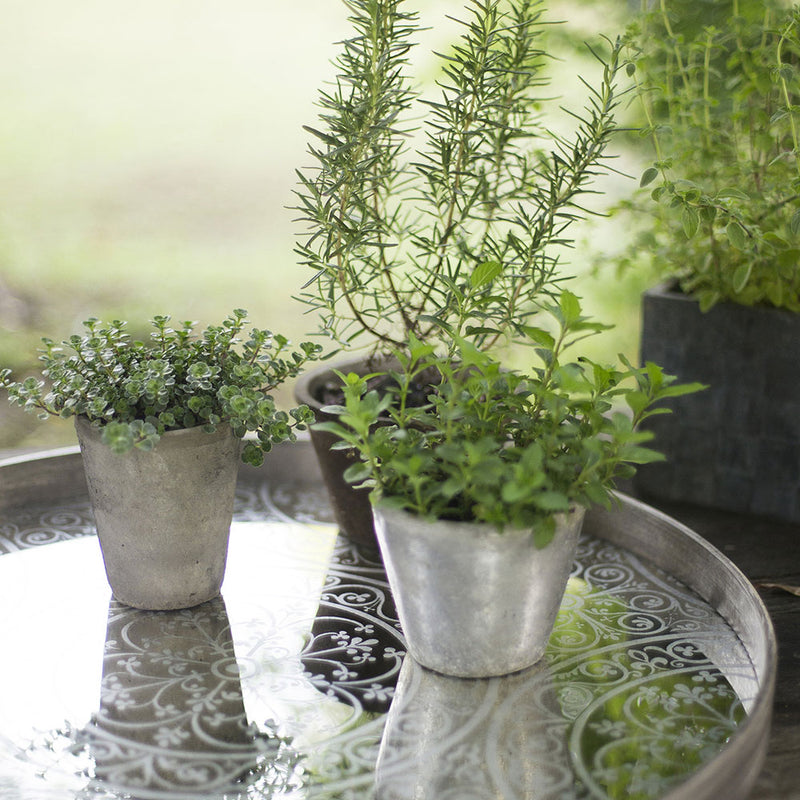 mirror tray with herb pots reflected in its patterned surface
