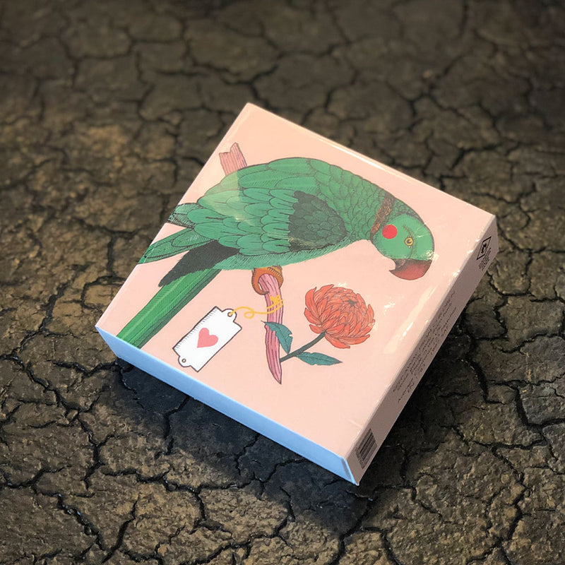 Square Matchbox 'Blush Parrot'