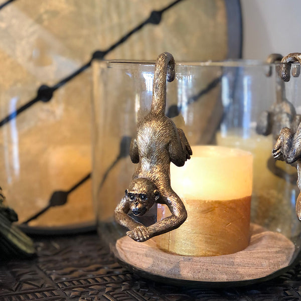 Tail Hanging Monkey Pot Hanger Blacks of Sopwell Online Store